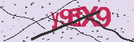 Codigo Captcha