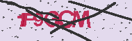 Codigo Captcha