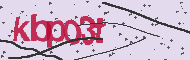 Codigo Captcha