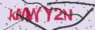 Codice captcha